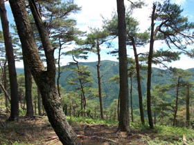 大段山