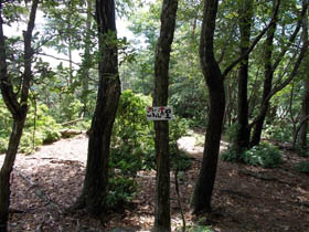 大段山