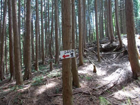 大段山