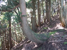 東床ノ尾山