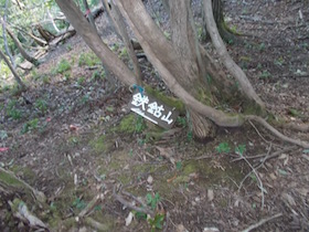 東床ノ尾山