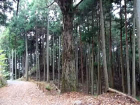 城山