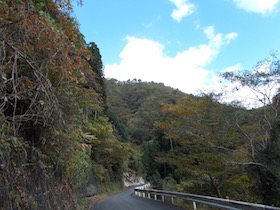 杉ヶ沢高原