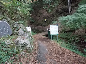 杉ヶ沢高原