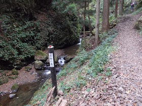 杉ヶ沢高原