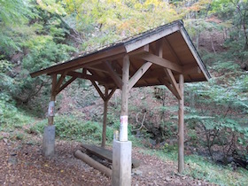 杉ヶ沢高原