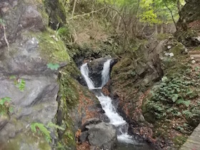 杉ヶ沢高原