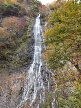 杉ヶ沢高原