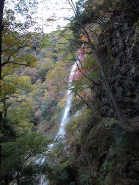 杉ヶ沢高原