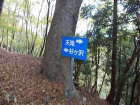 杉ヶ沢高原