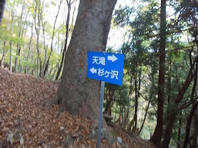 杉ヶ沢高原