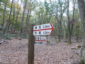 杉ヶ沢高原