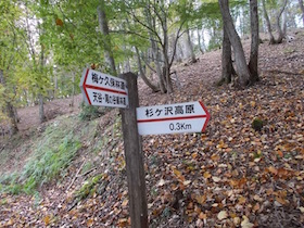 杉ヶ沢高原