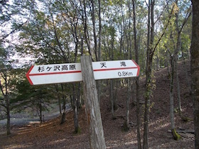 杉ヶ沢高原