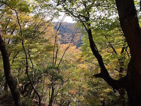 杉ヶ沢高原
