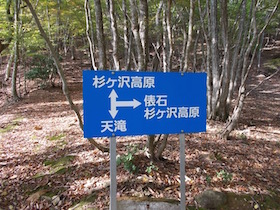 杉ヶ沢高原