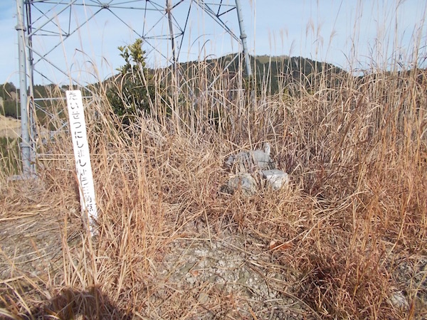 高場山