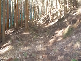 高場山