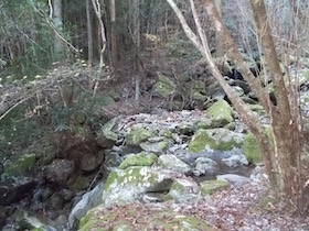 高場山