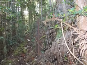 高場山