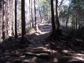 明神山
