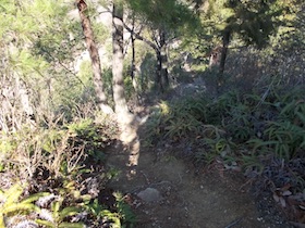明神山