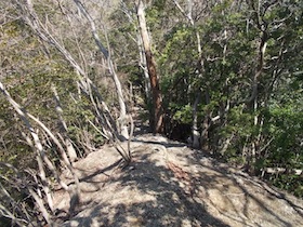 明神山