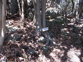 明神山