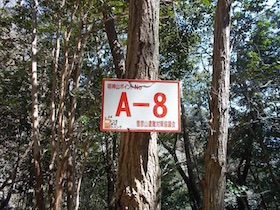 明神山