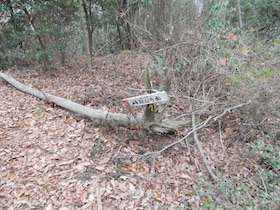 伊勢山