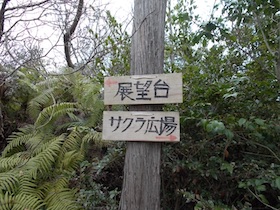 伊勢山
