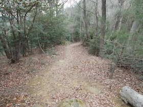 伊勢山