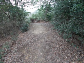 伊勢山
