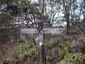 伊勢山
