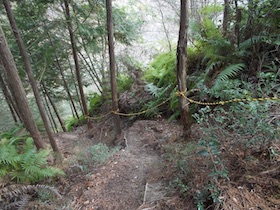 伊勢山