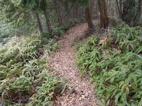 伊勢山