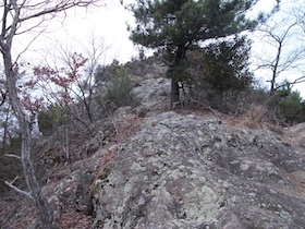 伊勢山