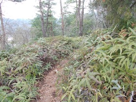 伊勢山