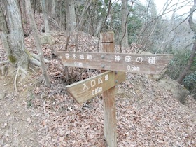 伊勢山
