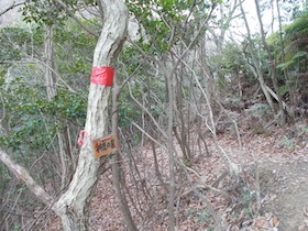 伊勢山