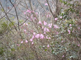 伊勢山