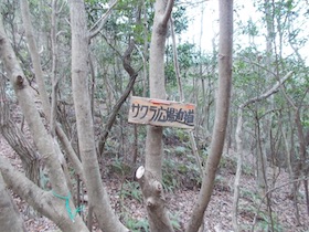 伊勢山