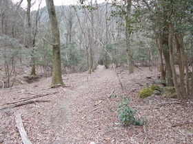 伊勢山