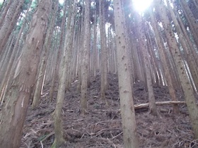 平石山