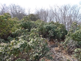 平石山
