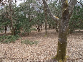 平石山