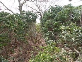 平石山