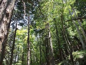 三室山