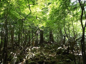 植松山