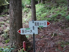 植松山